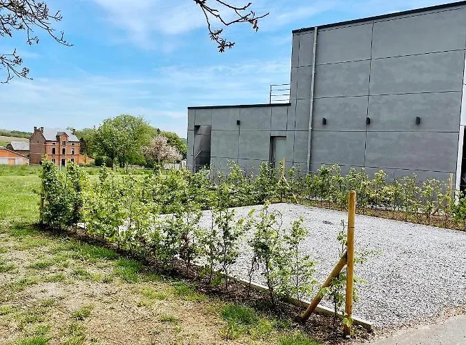 Le Nine, Au Coeur De Falaën